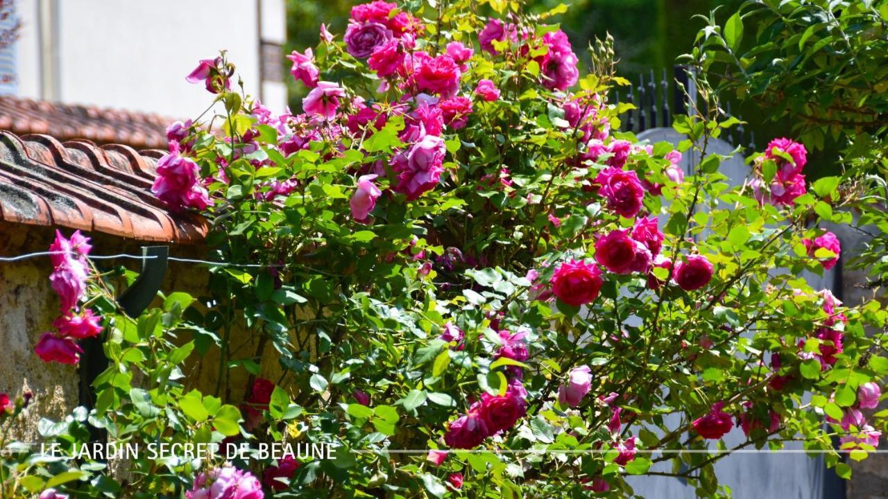 Le Jardin Secret De Beaune Beaune  Eksteriør bilde